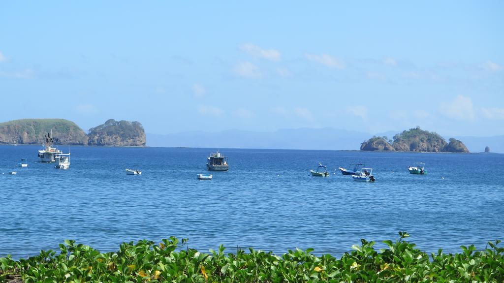 Hotel Coco Palms Playas del Coco 外观 照片